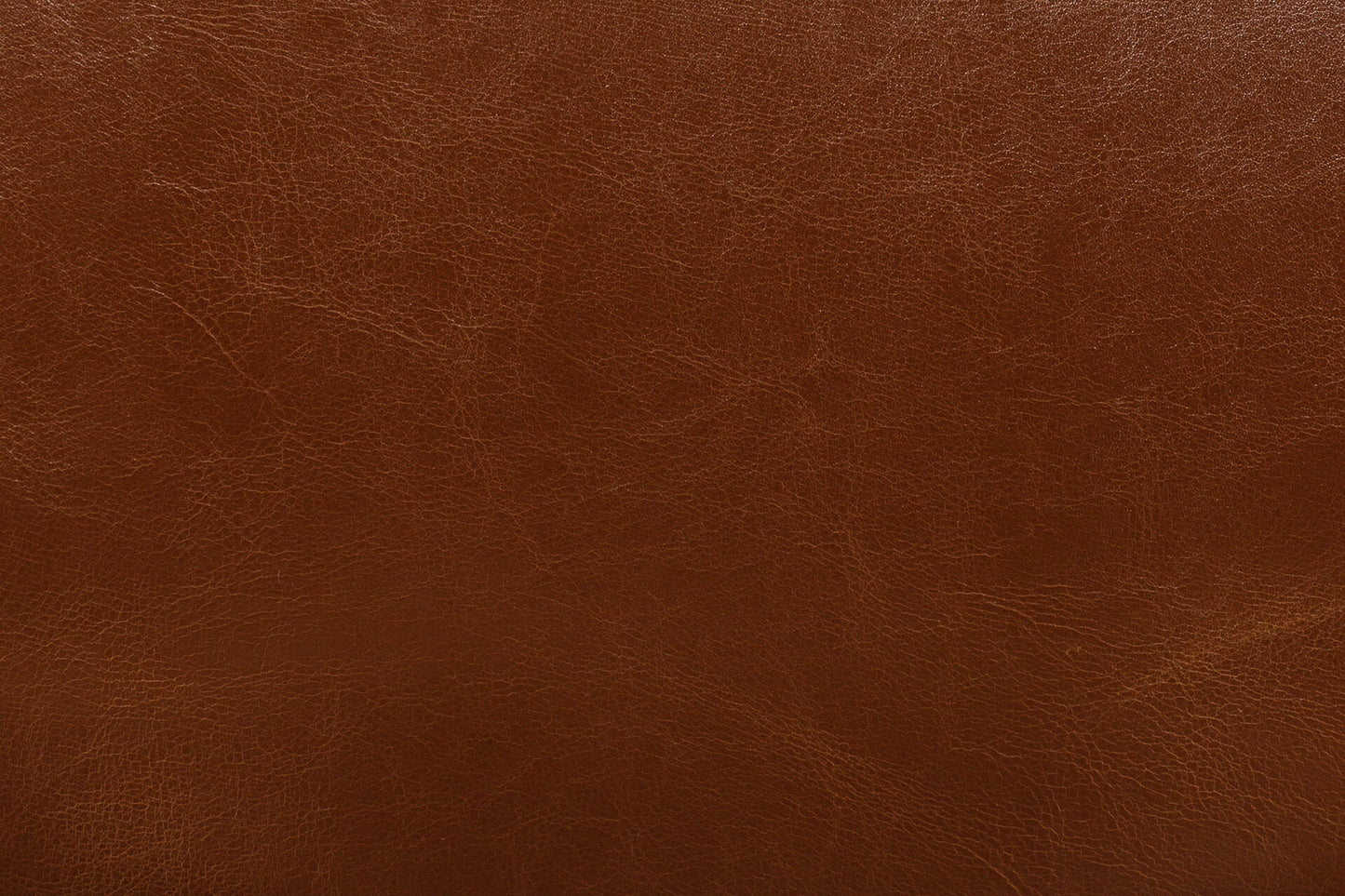 Duke Leather Dining Chair - Tan