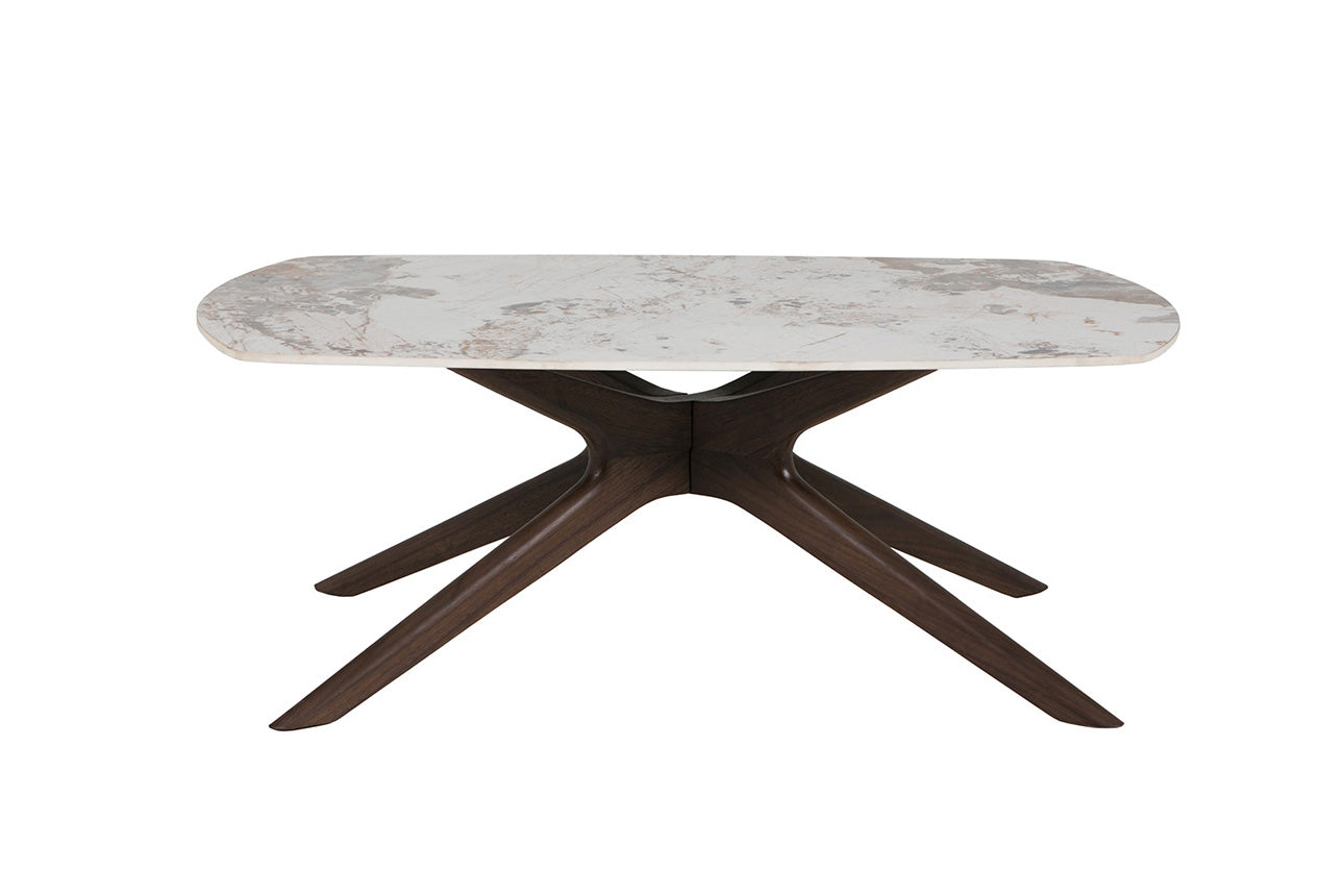 Ariya Coffee Table - Brown